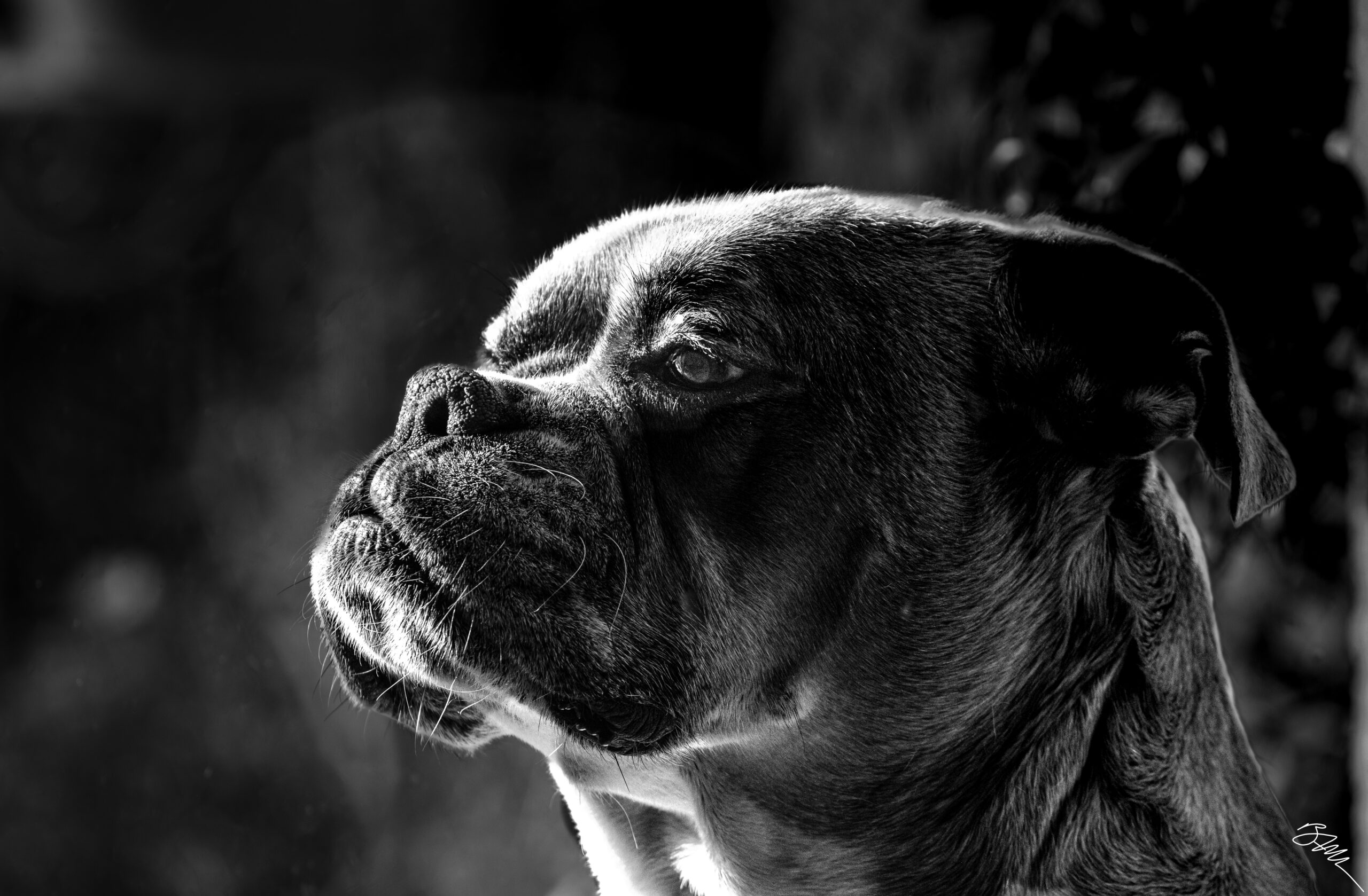 Le bénévole, le tenancier et le chasseur