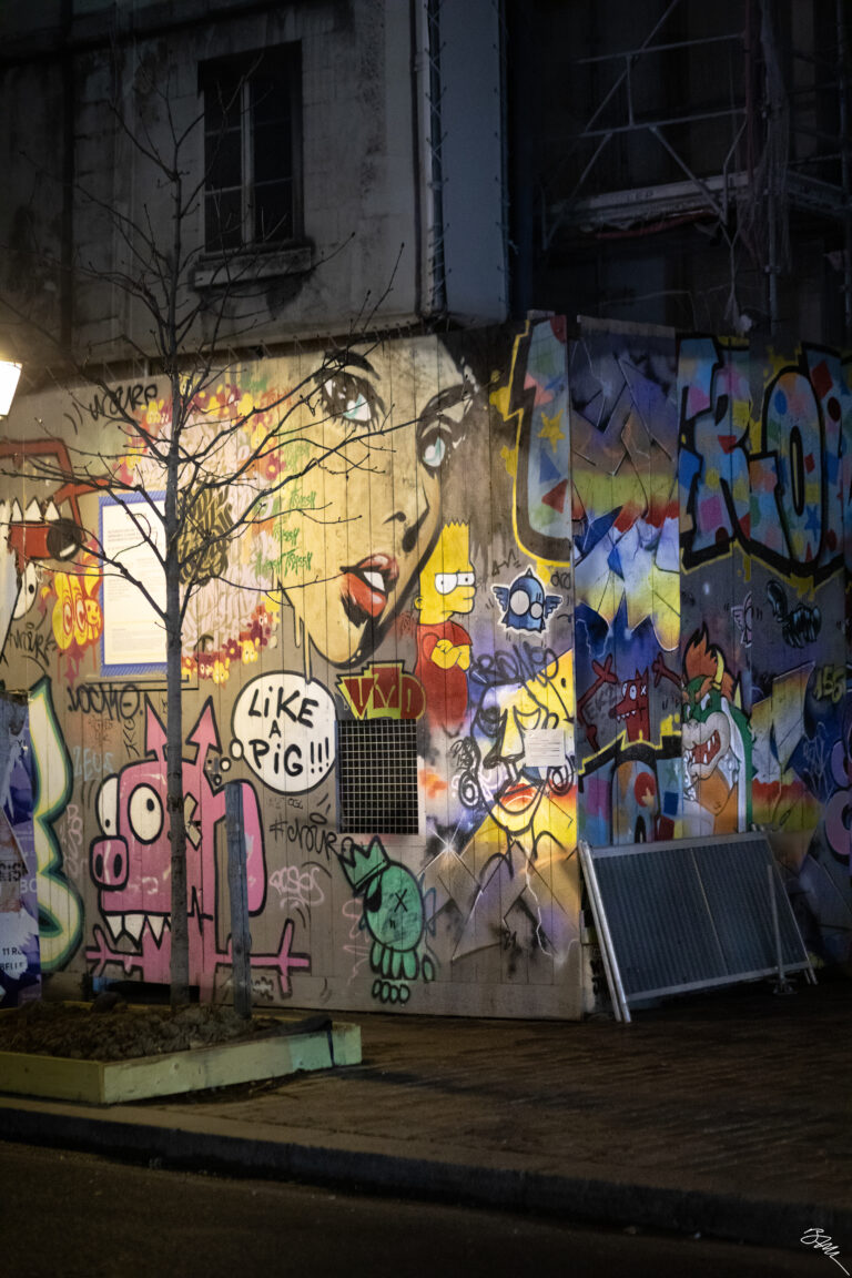 Art de rue de paris