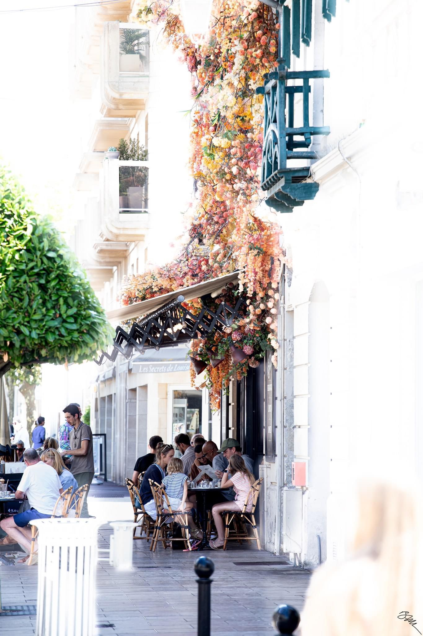 Canon EF 50mm f/1.8 STM